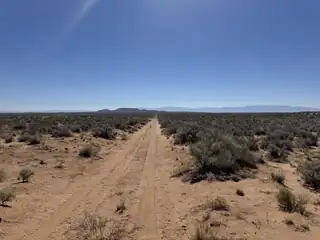 Quintana Road 