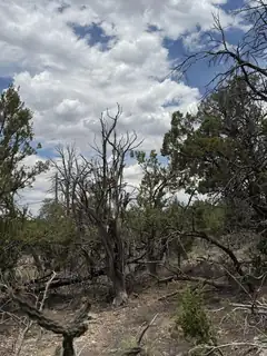 0 County Line Road 