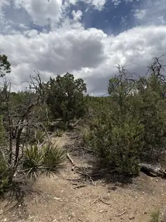 0 County Line Road 
