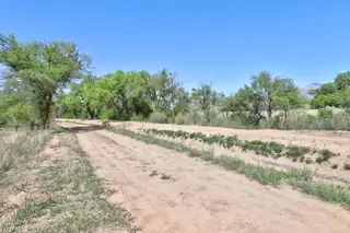 Lot 3 Toad Road 