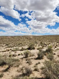 On Pajarito (DFW) Road SW 