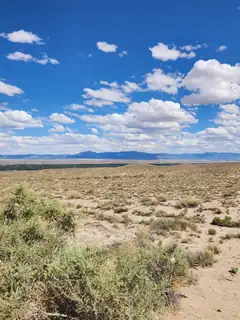 On Pajarito (DFW) Road SW 