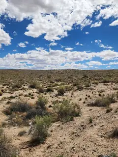 On Pajarito (DFW) Road SW 
