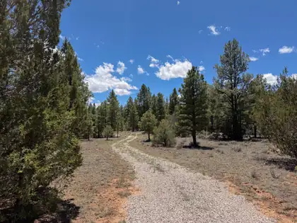Lot 7&8 Cottonwood Lane, Ramah 