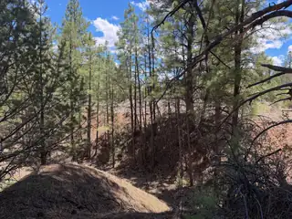 Lot 7&8 Cottonwood Lane 