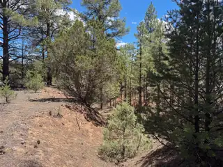 Lot 7&8 Cottonwood Lane 
