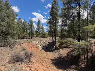 Lot 7&8 Cottonwood Lane 