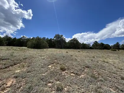10347 NM 337, Tijeras 