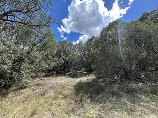10347 NM 337 
