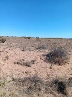 Canyon Drive 