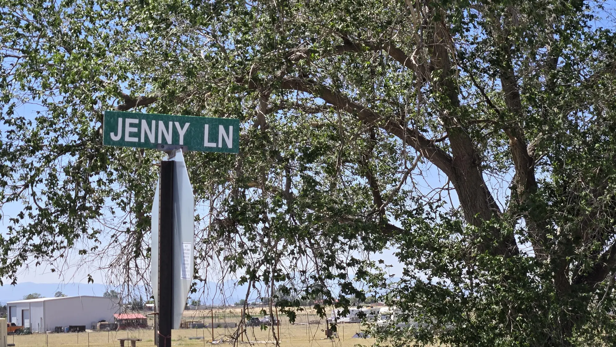 Abrahames Street