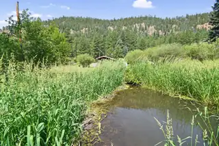 26821 New Mexico 126 