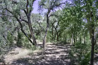 B1-B Lands of Mullens 