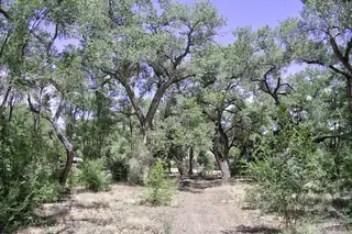 B1-B Lands of Mullens 