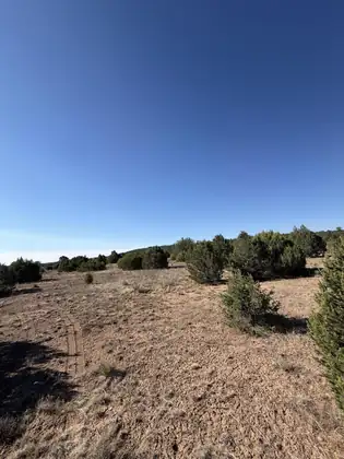 16 TR A-1, Tijeras 