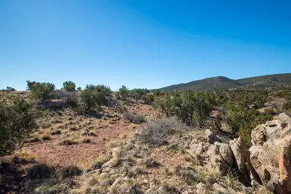 234 N Wild Primrose, Placitas 