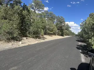 9 Camino Sombreado 