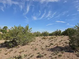 Yucca (Lot 105) Lane 