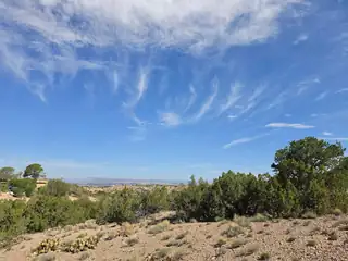 Yucca (Lot 105) Lane 