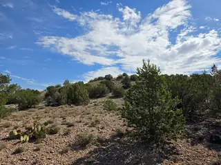 Yucca (Lot 105) Lane 
