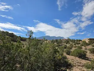 Yucca (Lot 105) Lane 