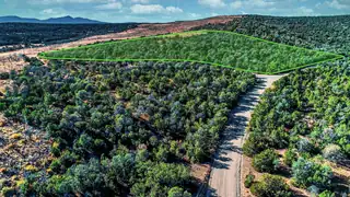 29 Twin Peak Drive 