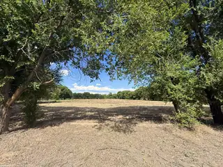 17B San Fernando Road 