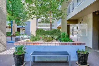 1325 Park Avenue SW 401 