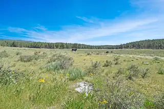 Tract 4&A Wetherill Cabin Sites 