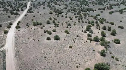 LOT 8 HORSESHOE TRAIL, Quemado 