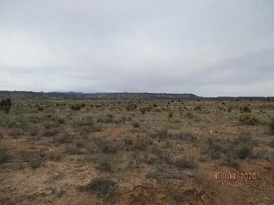 Thompson Ranch Road