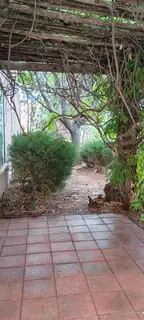 3 Broken Rock Place 