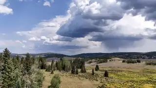 TBD USFS Road 93 
