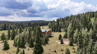 TBD USFS Road 93 