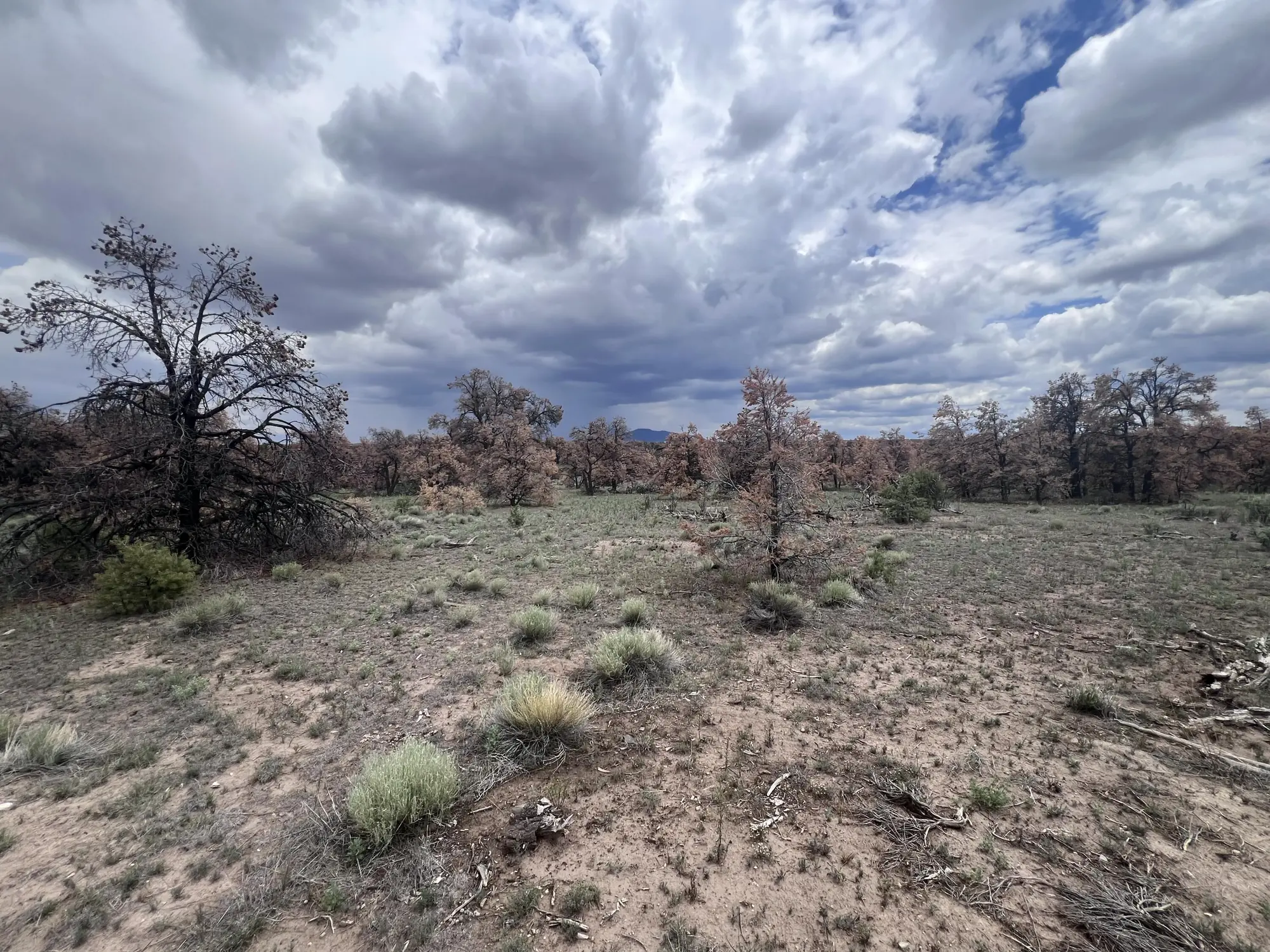 LOT 57 FOUNTAIN HILLS RD