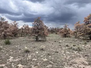 LOT 57 FOUNTAIN HILLS RD 