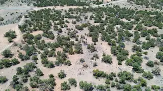 1488 New Mexico 603 
