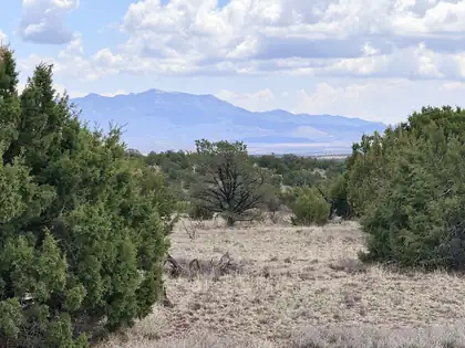 Lot 155 Pinon Springs, Magdalena 