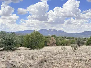 Lot 155 Pinon Springs 