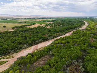 TBD New Mexico 116 