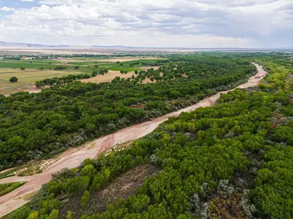 New Mexico 116, Bosque 