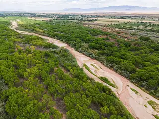 New Mexico 116 
