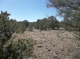 10 Camino De Fusilero Road 