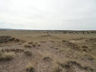 Canyon Road 