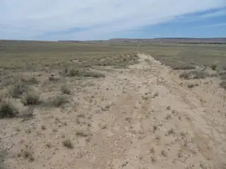 Canyon Road 
