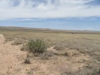 Canyon Road 
