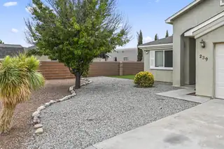 239 Bosque 