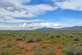 Lot 14 Rio Grande Estates 26 