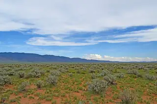 Lot 14 Rio Grande Estates 26 