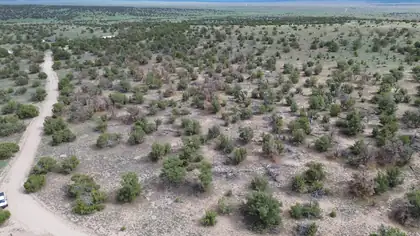 LOT 20 HORSESHOE CIR, Quemado 